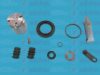 AUTOFREN SEINSA D41199C Repair Kit, brake caliper